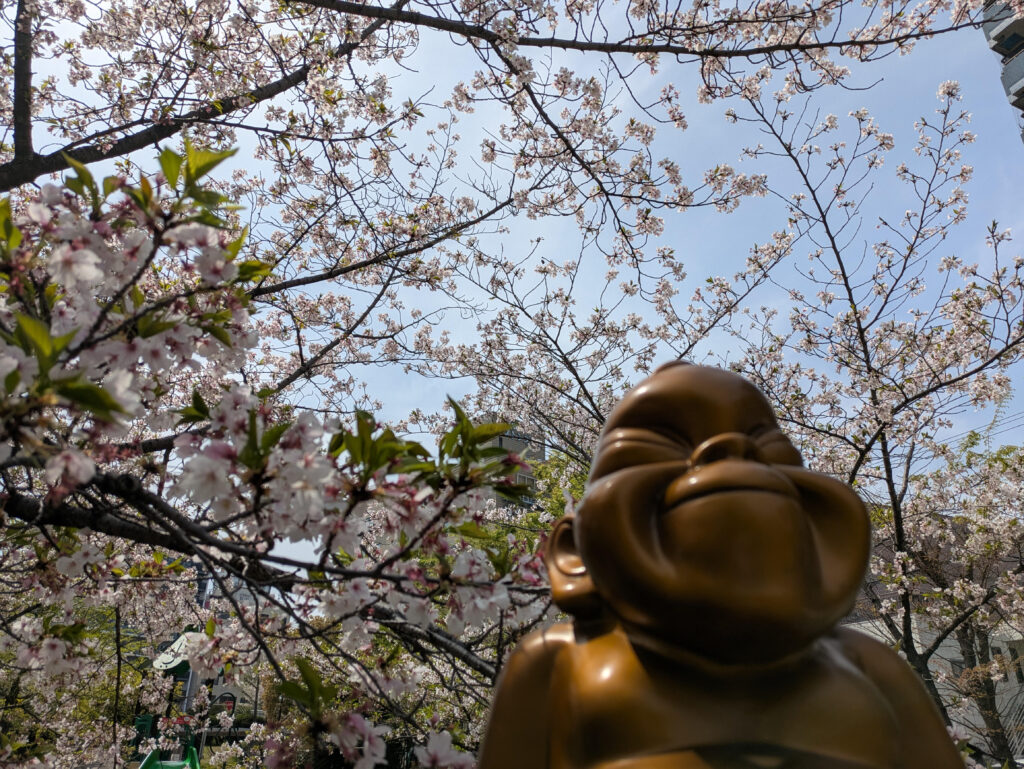 さくら満開🌸堺のビリケンさんもご満悦